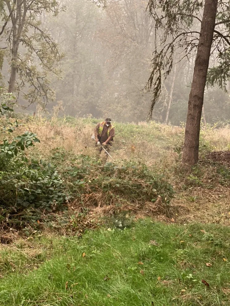 Affordable residential landscaping for residential properties across Portland, OR - SEP Tree Service