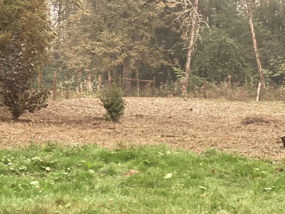 Expert landscape installation in Portland, OR by SEP Tree Service