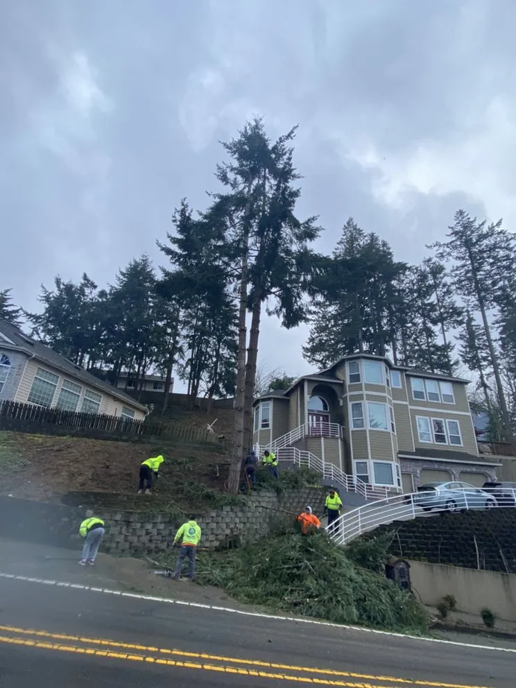 Reliable lawn care service with custom design across Portland, OR - SEP Tree Service