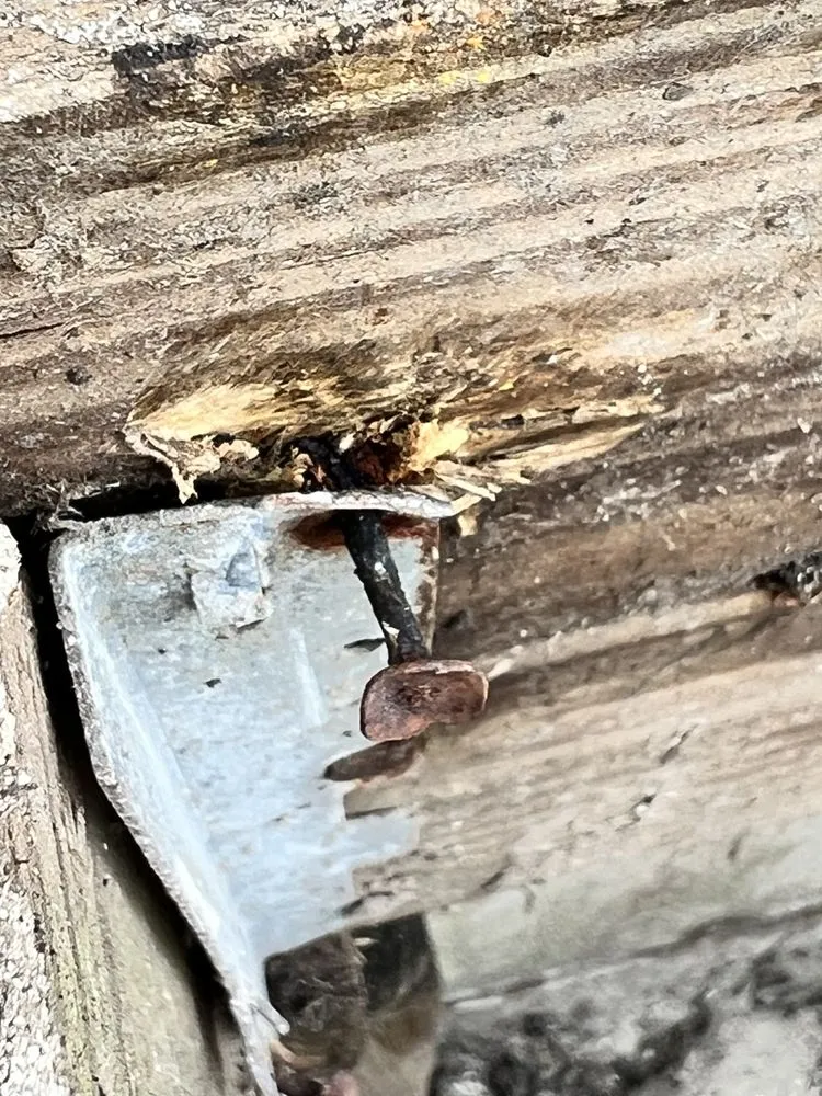 Professional residential landscaping in Mays Landing, NJ - Septima Construction And Landscaping