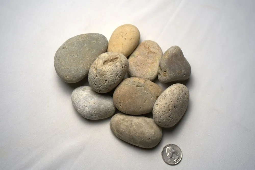 Local residential landscaping for homes across Laguna Niguel, CA - Sepulveda Building Materials