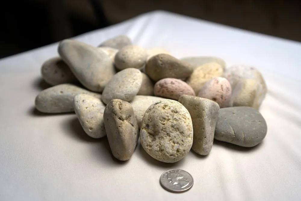 Reliable lawn care service in Laguna Niguel, CA by Sepulveda Building Materials