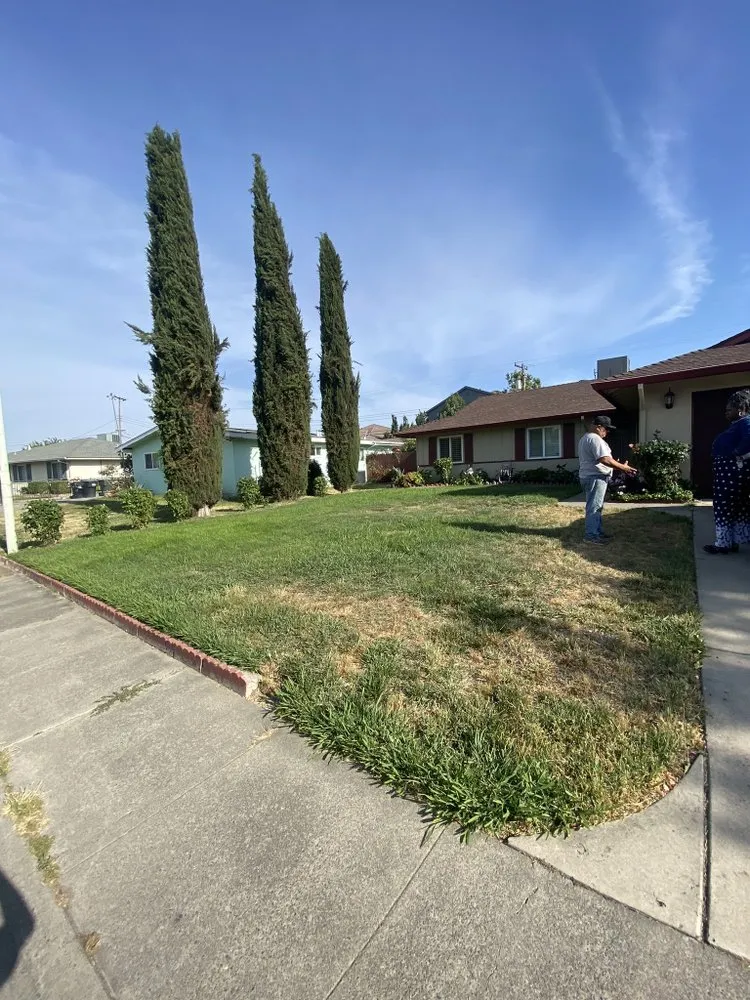 Expert yard maintenance in Orangevale, CA by Sepulveda Landscaping