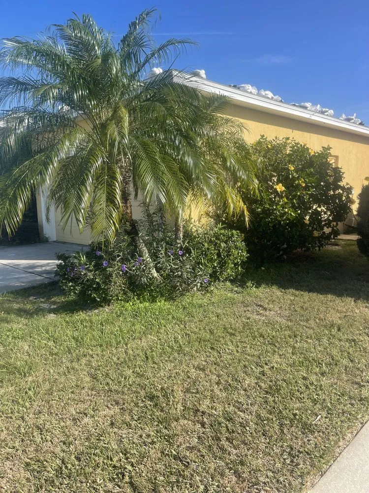 Affordable garden landscaping for outdoor upgrades in Lake Wales, FL by Sequoia Ground Maintenance