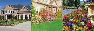 Reliable yard cleanup service for year-round maintenance in Bensalem, PA by Sequoia Landscaping
