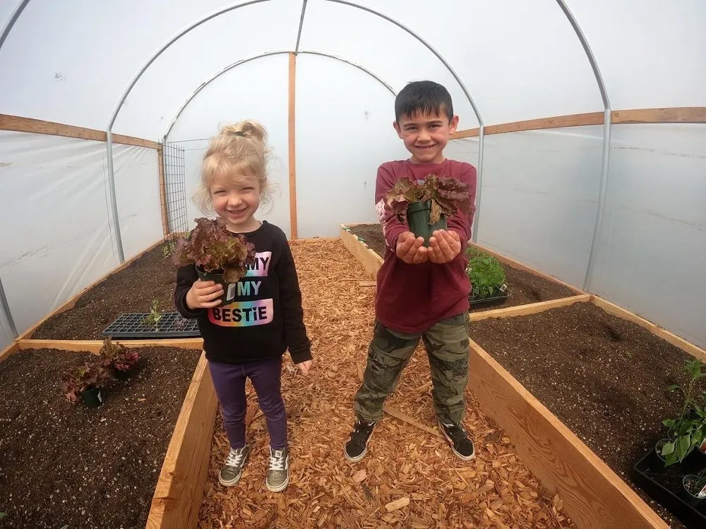 Expert landscape installation experts serving Ukiah, CA - Sequoia Soil Company