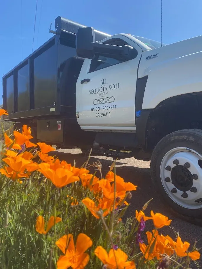 Reliable outdoor landscaping in Ukiah, CA - Sequoia Soil Company