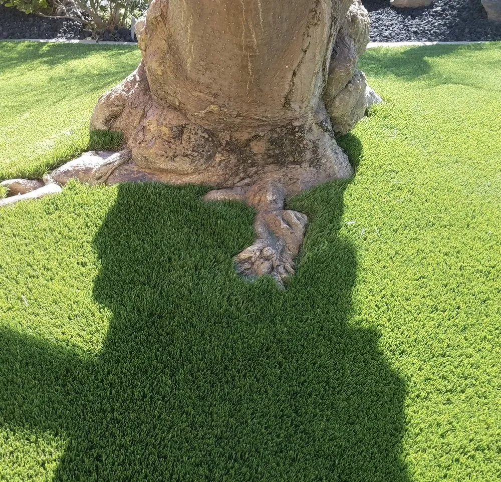 Trusted lawn mowing service in Coto de Caza, CA - Sequoia Synthetic Grass