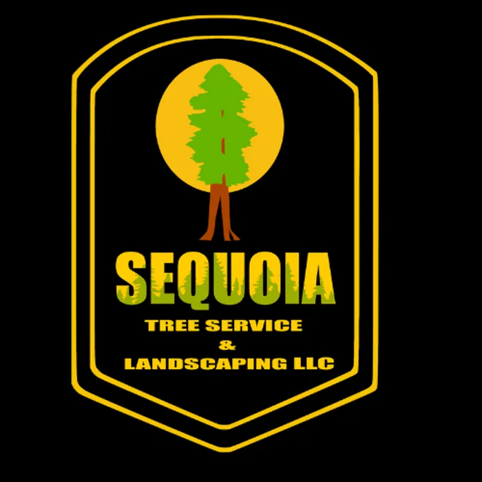 Reliable garden landscaping with custom design across San Antonio, TX - Sequoia Tree Service And Landscaping