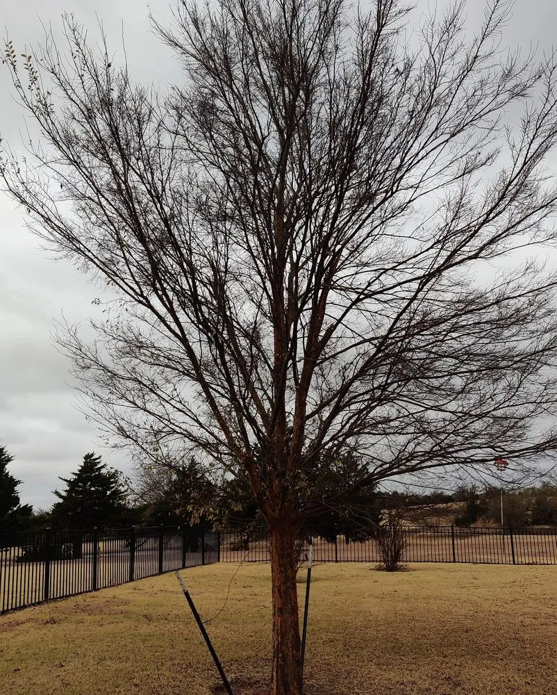 Professional landscape design in Oklahoma County, OK by Seraphim Total Home Business and Property Management Services
