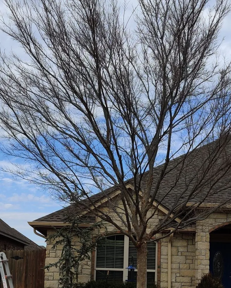 Expert lawn care service in Oklahoma County, OK by Seraphim Total Home Business and Property Management Services