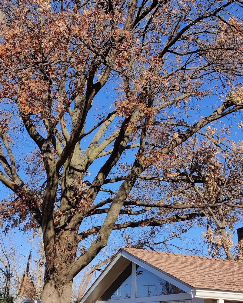 Local residential landscaping in Oklahoma County, OK - Seraphim Total Home Business and Property Management Services