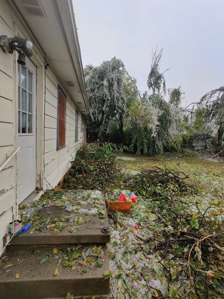 Top-rated yard cleanup service in Oklahoma County, OK by Seraphim Total Home Business and Property Management Services