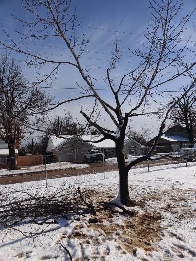 Professional yard cleanup service for year-round maintenance in Oklahoma County, OK by Seraphim Total Home Business and Property Management Services