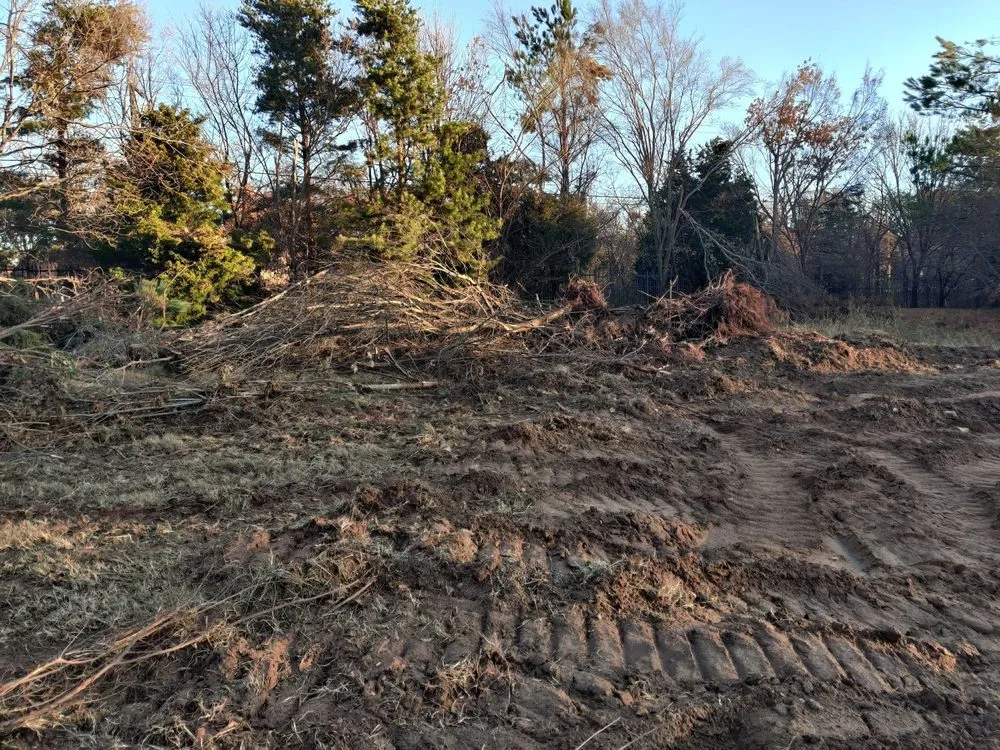 Affordable yard cleanup service in Oklahoma County, OK - Seraphim Total Home Business and Property Management Services