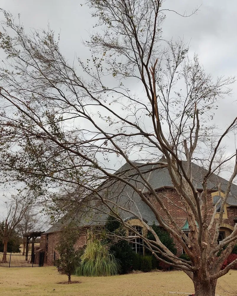 Affordable landscape installation in Oklahoma County, OK - Seraphim Total Home Business and Property Management Services