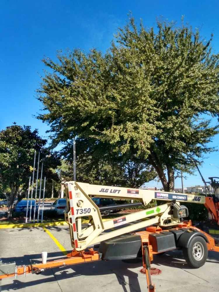 Reliable residential landscaping experts serving Tampa, FL - Seraphin Lawn Care