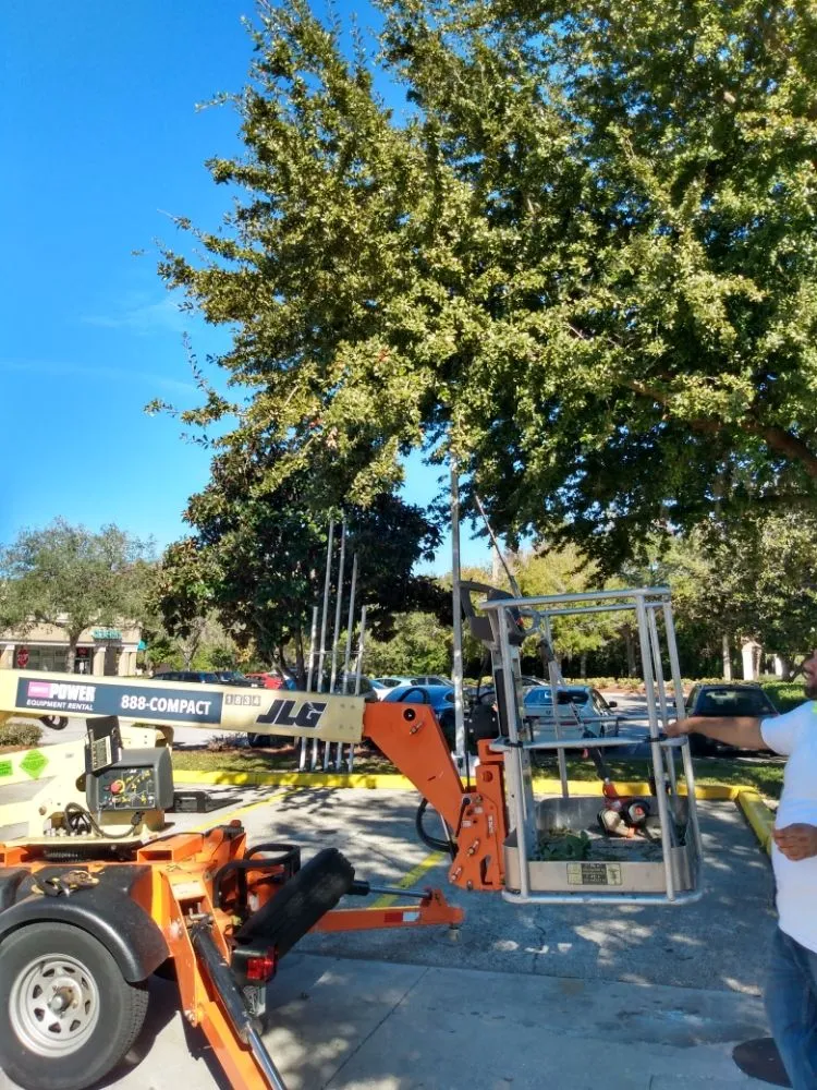 Local yard maintenance for beautiful yards in Tampa, FL by Seraphin Lawn Care