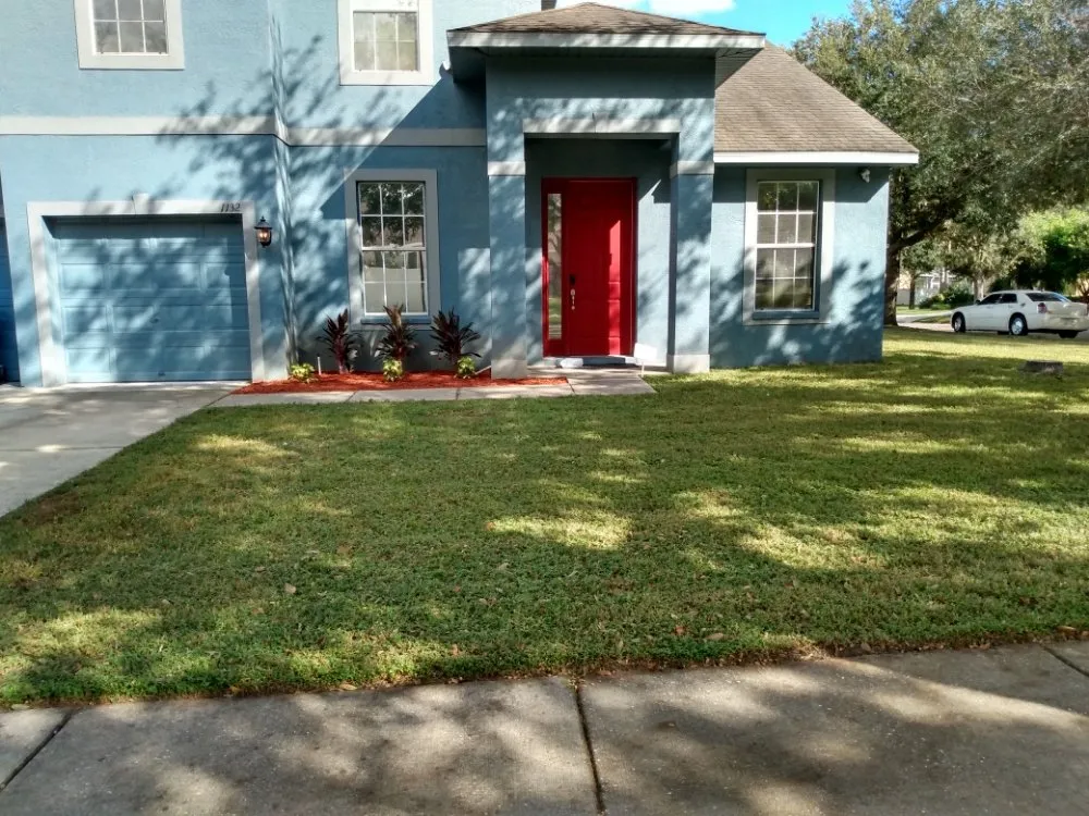 Professional landscape installation in Tampa, FL - Seraphin Lawn Care