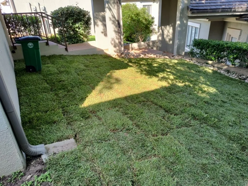 Trusted landscape design in Austin, TX by Serendipity Landscape Solutions