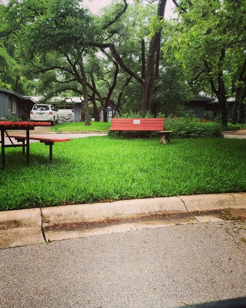 Expert landscape design in Austin, TX by Serendipity Landscape Solutions