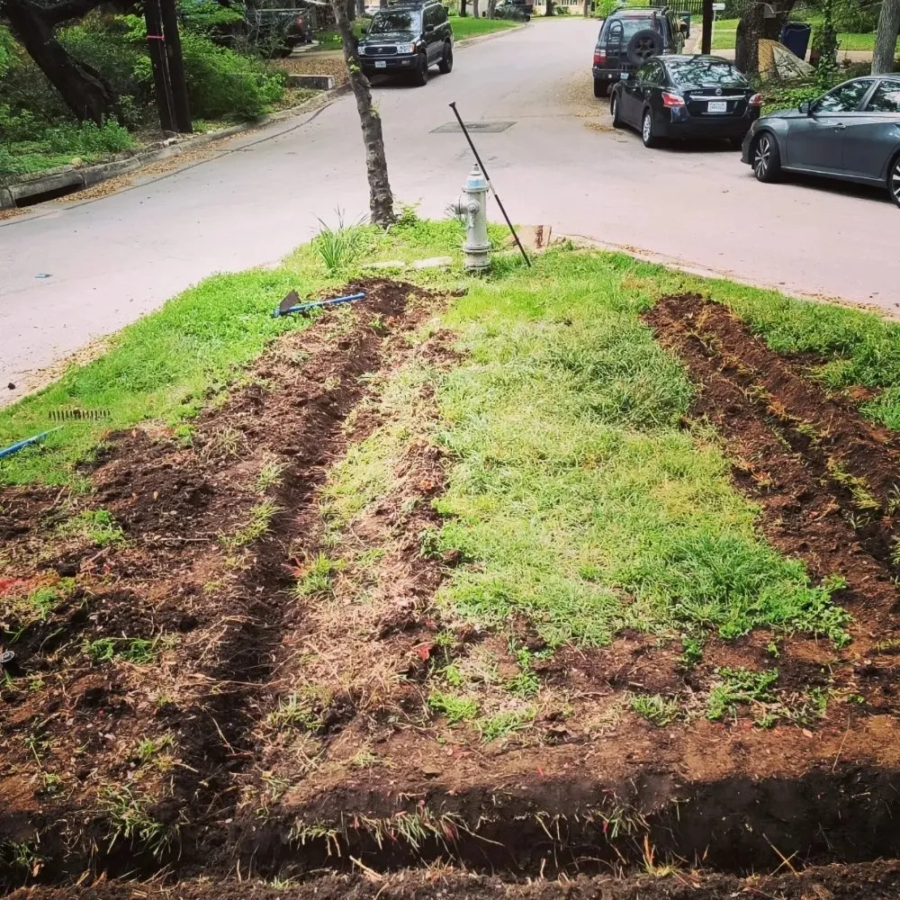 Local outdoor landscaping in Austin, TX by Serendipity Landscape Solutions