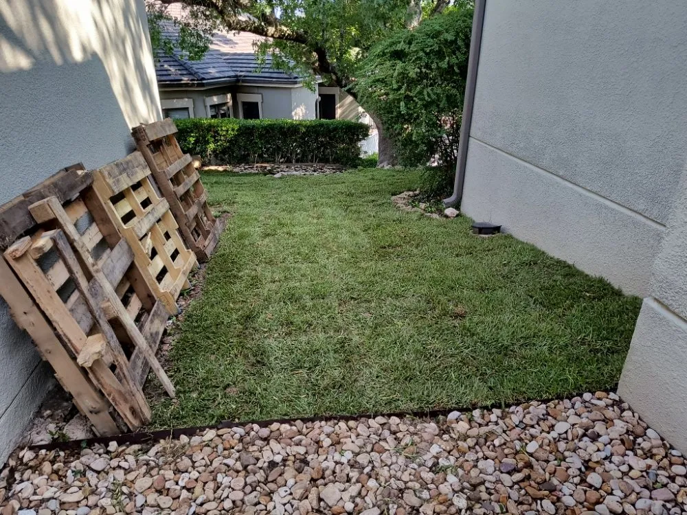 Trusted lawn mowing service for homes across Austin, TX - Serendipity Landscape Solutions