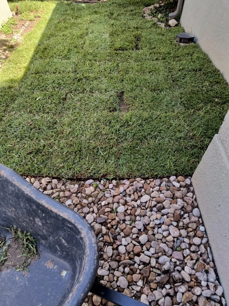 Professional landscape installation for residential properties in Austin, TX by Serendipity Landscape Solutions