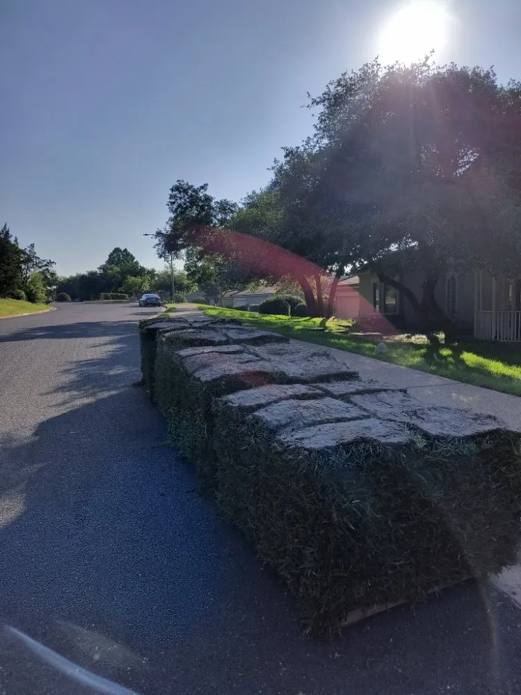 Top-rated lawn care service for homes across Austin, TX - Serendipity Landscape Solutions