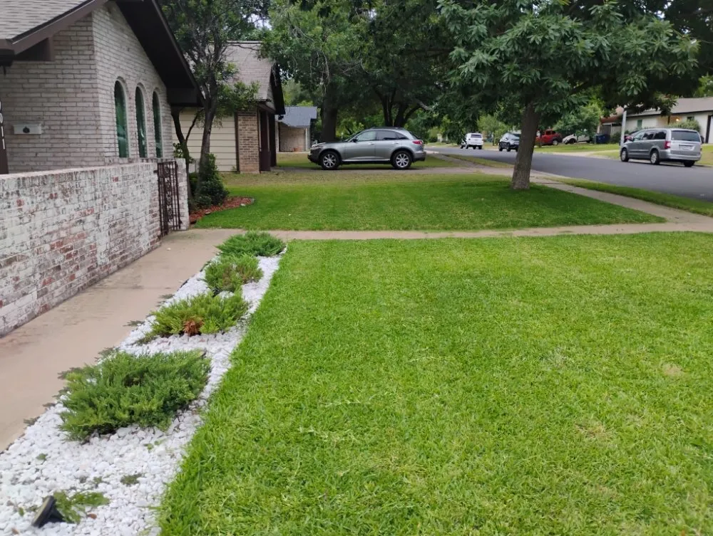 Affordable yard cleanup service in Austin, TX by Serendipity Landscape Solutions