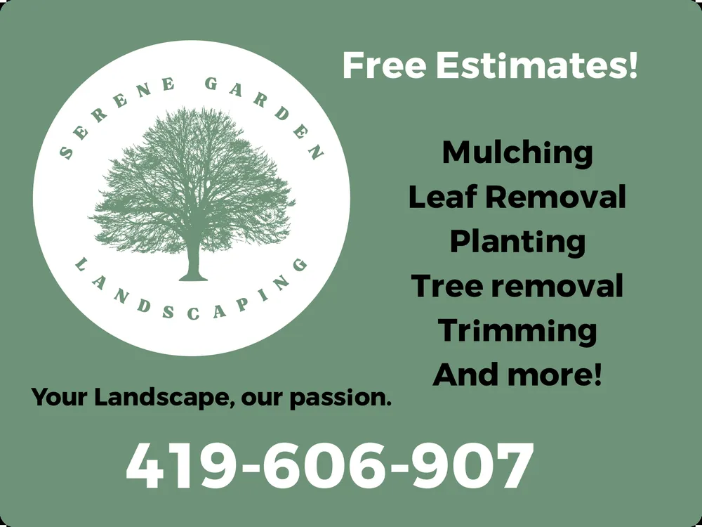 Professional yard cleanup service near you across Columbus, OH - Serene Garden Landscaping