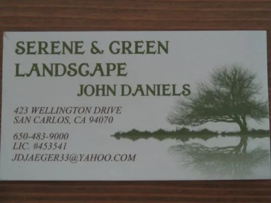 Serene Green Landscape Logo