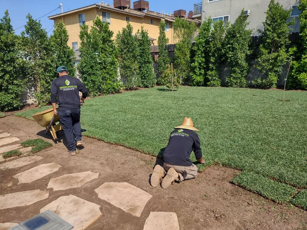 Top-rated yard maintenance near you across Whittier, CA - Serene Landscape Service