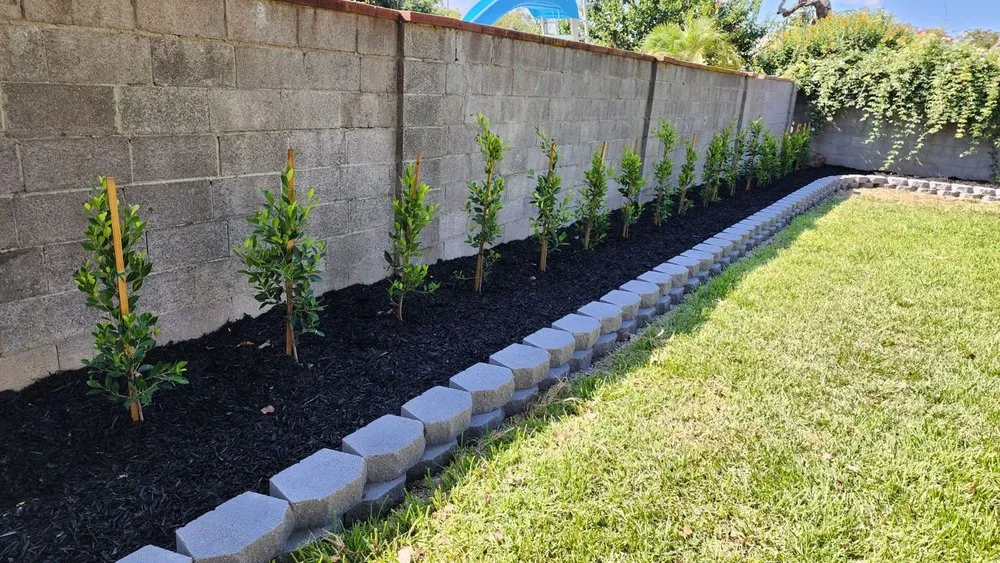 Trusted lawn care service in Whittier, CA - Serene Landscape Service