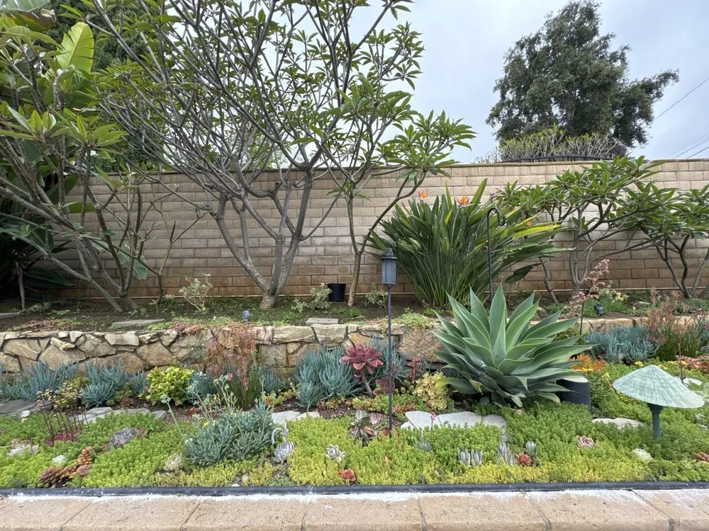Custom landscape design for outdoor upgrades across Whittier, CA - Serene Landscape Service