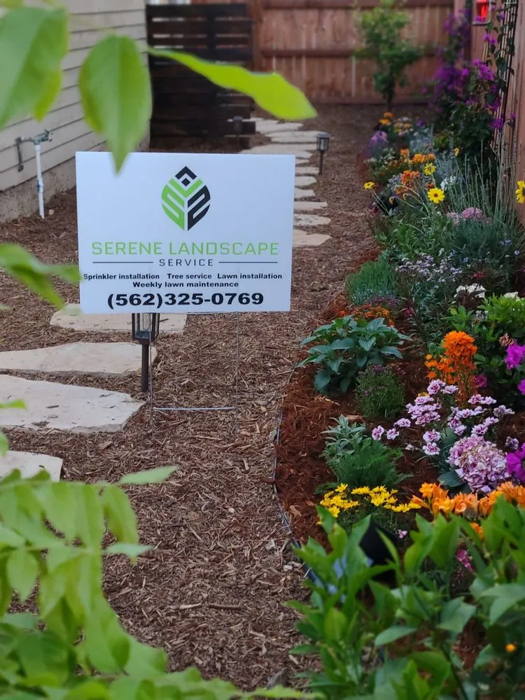 Professional lawn mowing service experts serving Whittier, CA - Serene Landscape Service