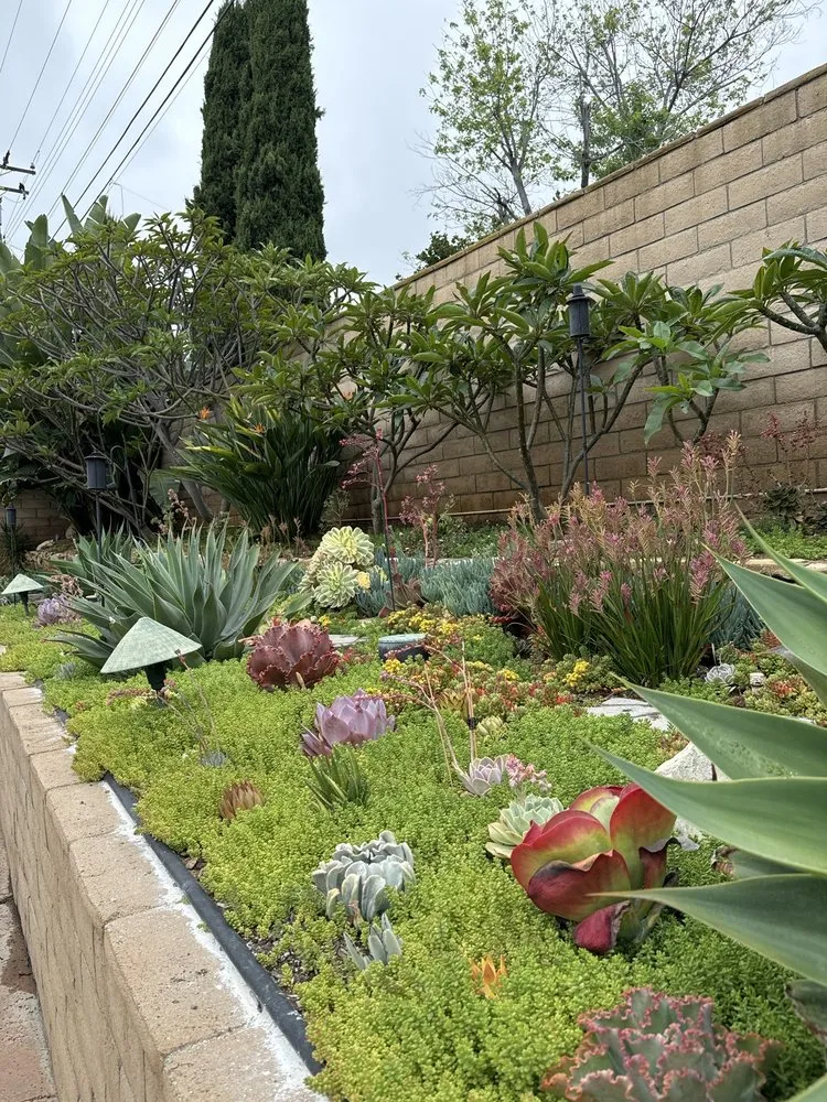 Local yard maintenance near you across Whittier, CA - Serene Landscape Service