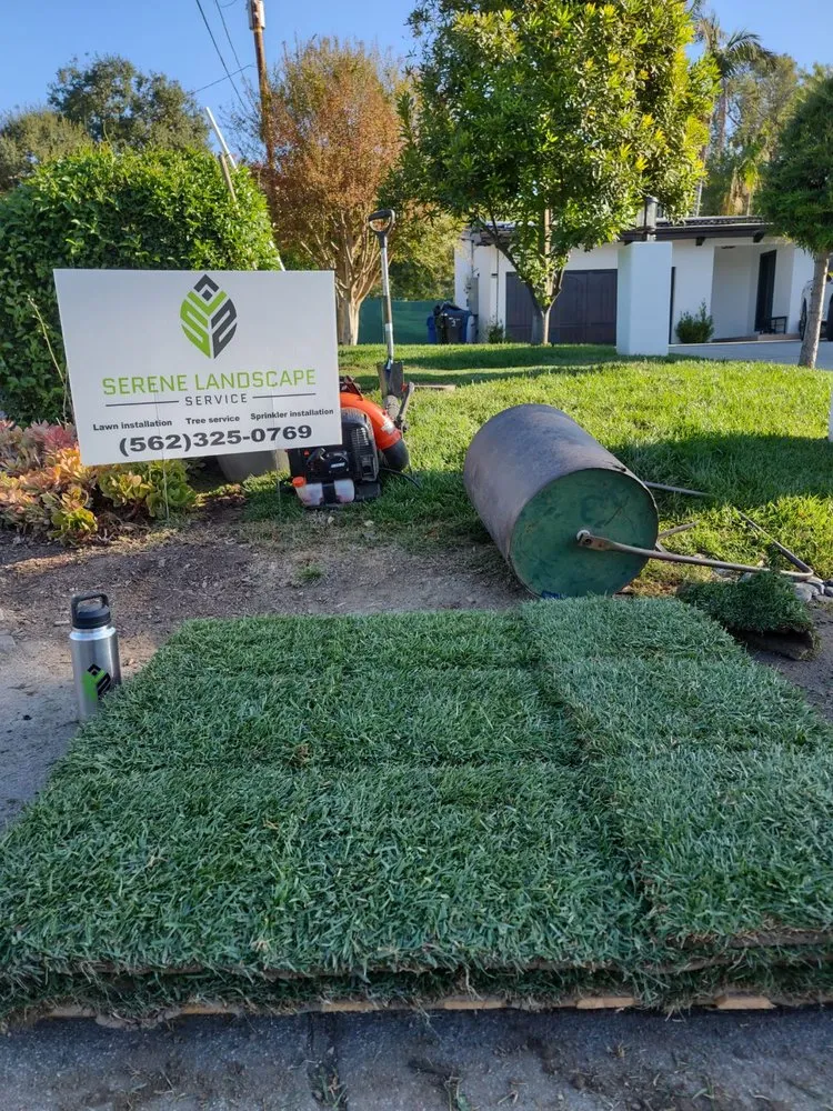 Reliable residential landscaping for outdoor upgrades across Whittier, CA - Serene Landscape Service