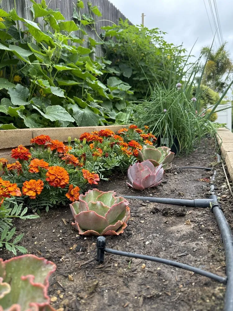 Top-rated garden landscaping in Whittier, CA - Serene Landscape Service