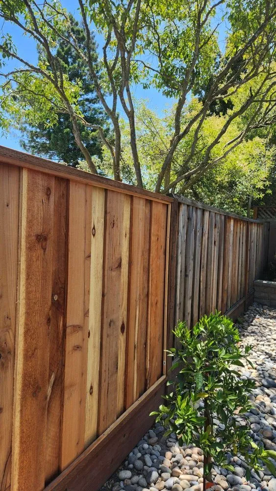 Reliable outdoor landscaping experts serving Brentwood, CA - Serene Landscapes