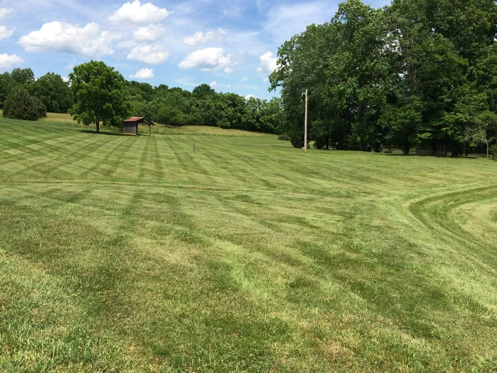 Professional yard cleanup service in Lynchburg, VA by Serene Landscapes