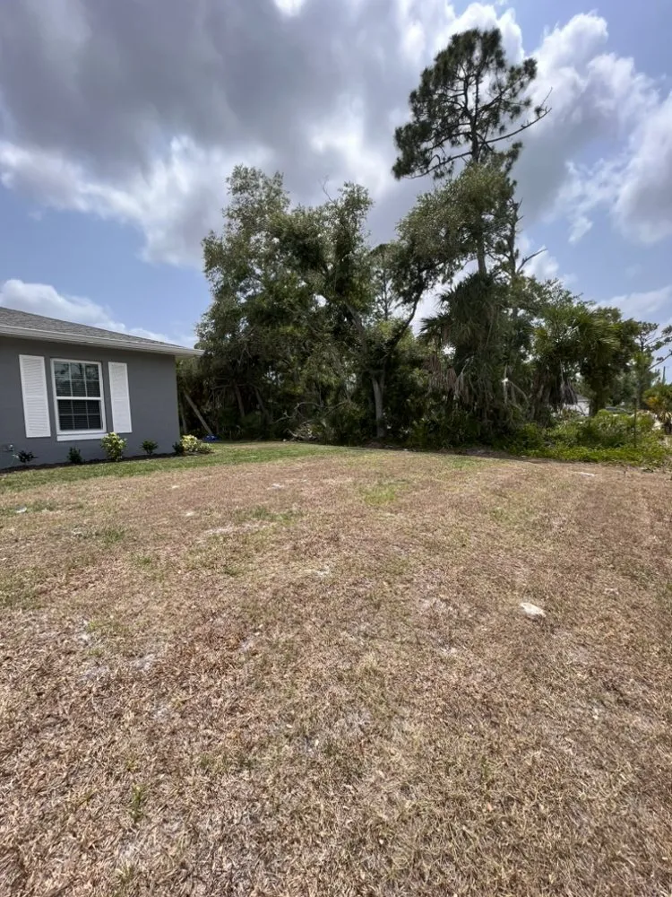 Custom garden landscaping in Port Charlotte, FL - Serene Lawn Care