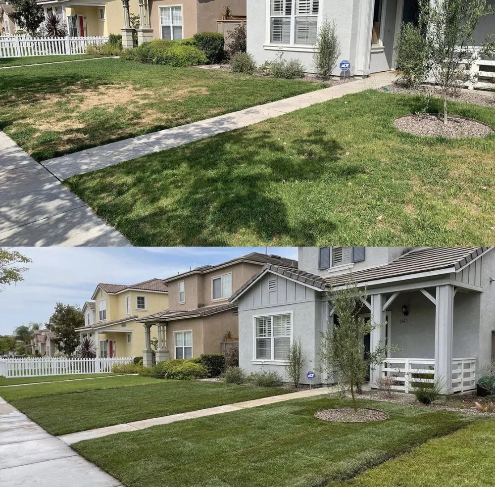 Affordable yard maintenance near you across El Cajon, CA - Serene Lawncare & Landscaping
