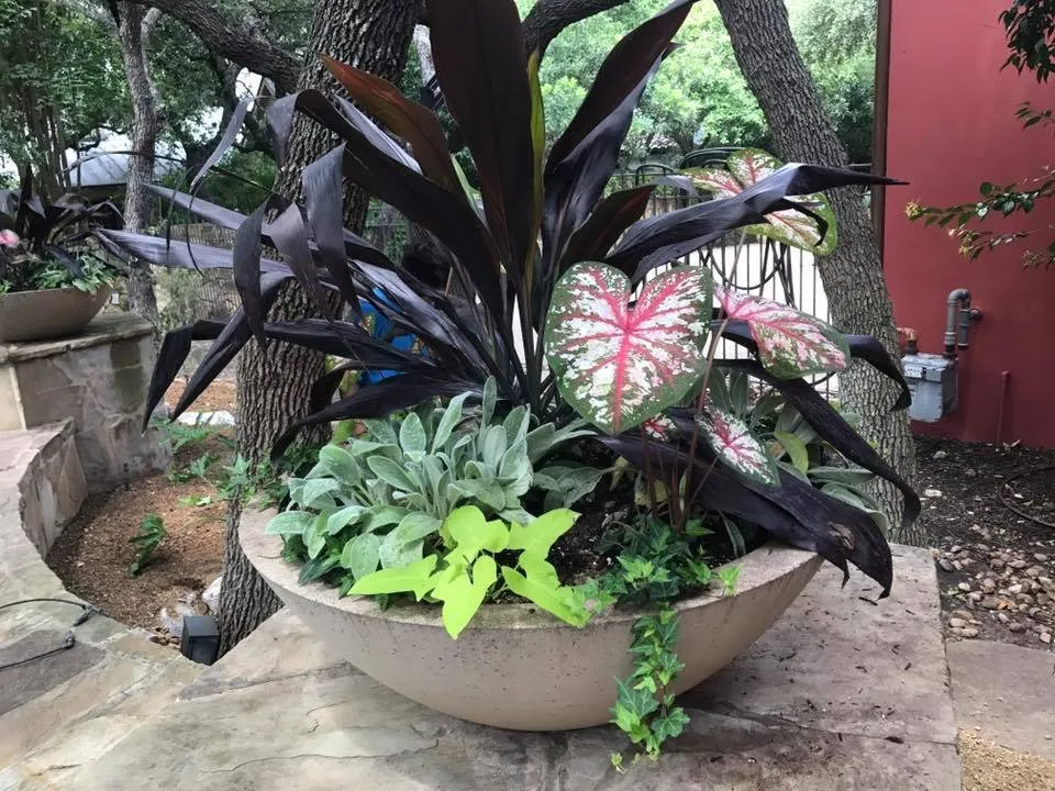 Reliable landscape installation in San Antonio, TX - Serene Oaks Landscaping