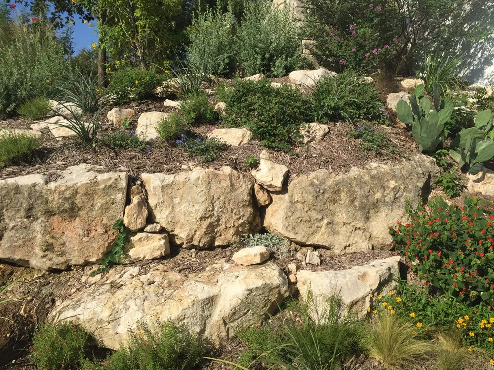 Top-rated lawn mowing service for year-round maintenance across San Antonio, TX - Serene Oaks Landscaping