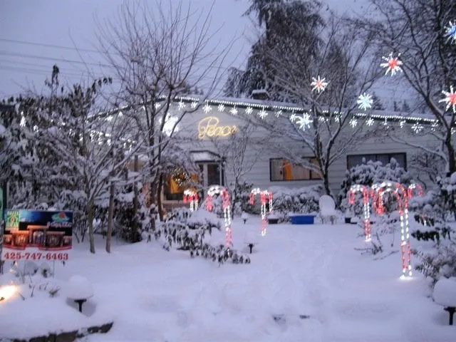 Top-rated landscape installation experts serving Bellevue, WA - Serene Scapes