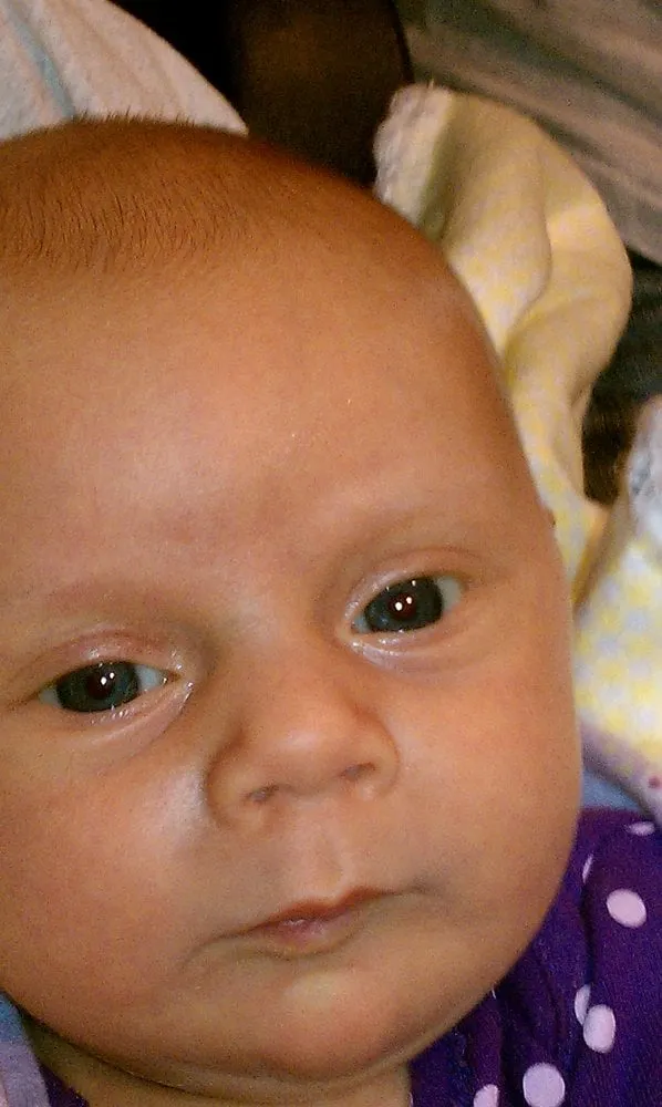 Trusted residential landscaping in Bellevue, WA by Serene Scapes