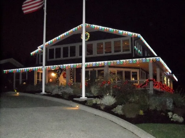 Top-rated residential landscaping in Bellevue, WA - Serene Scapes