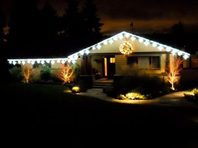 Reliable landscape design in Bellevue, WA - Serene Scapes