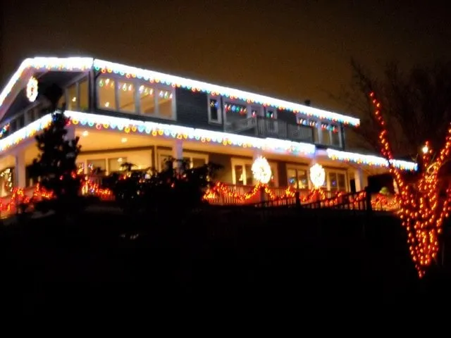 Local outdoor landscaping in Bellevue, WA - Serene Scapes